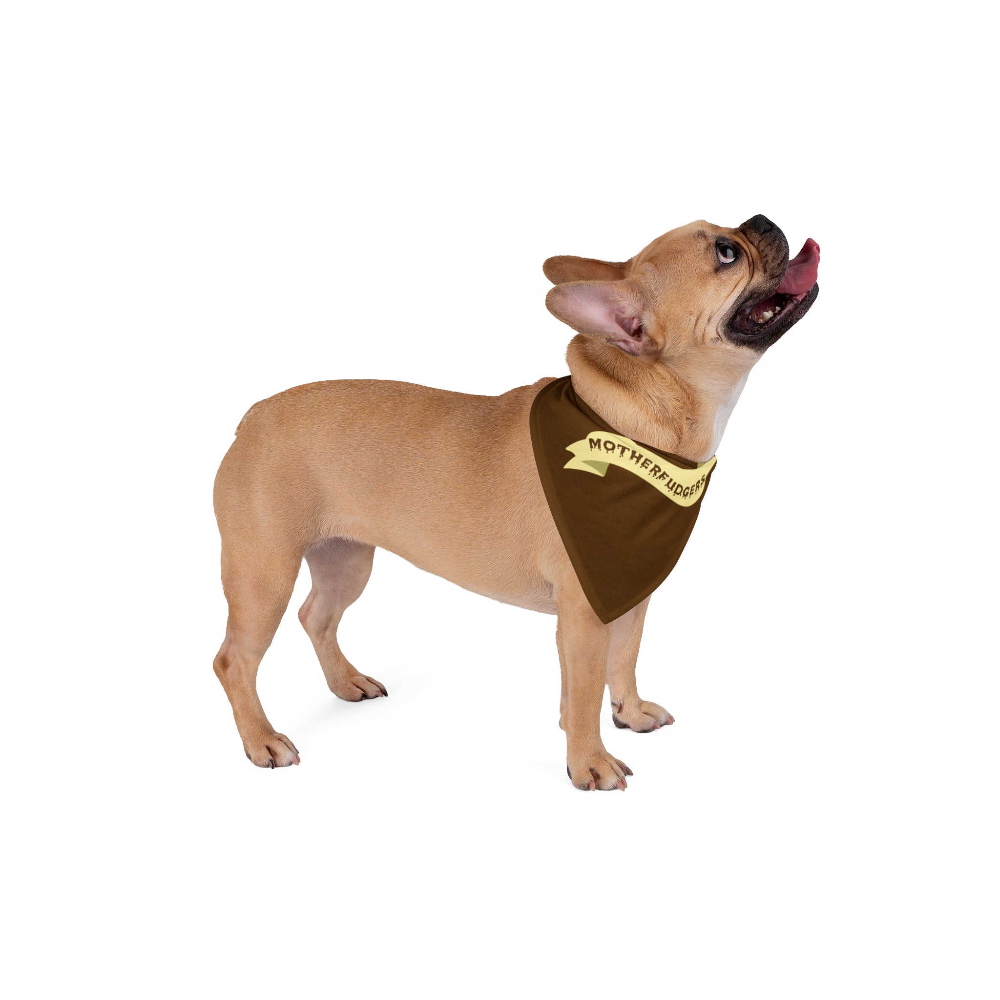 Skull Drip Pet Bandana — Halloween Gothic Dog & Cat Accessory